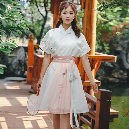 汉服绣花交领上衣短袖汉元素夏款短裙套装(货号 rl6189)