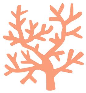 砍价普通商品 商品图0