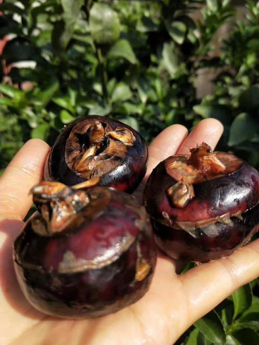 金智严选77广西荔浦马蹄