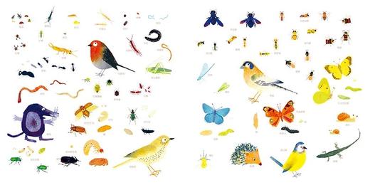 在我脚下：艾曼纽·乌赛生命三部曲之（二）[3岁+] 商品图2