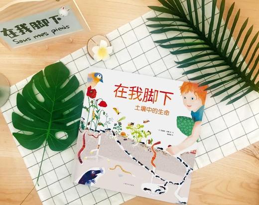 在我脚下：艾曼纽·乌赛生命三部曲之（二）[3岁+] 商品图1