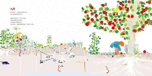 在我脚下：艾曼纽·乌赛生命三部曲之（二）[3岁+] 商品图4