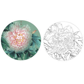 李晓明工笔花鸟小品牡丹名品娇娥粉黛八美图之二-酒醉杨妃-KF02