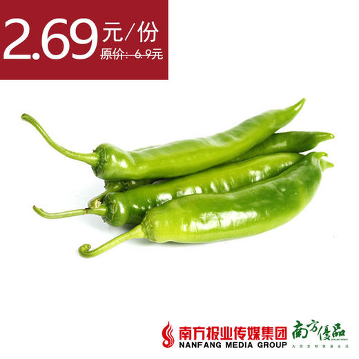 【12号提货】四季绿黄皮椒  约300g/份 商品图0