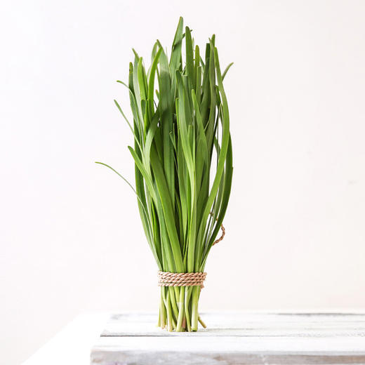 韭菜3斤装 顺丰包邮 仅限一周 商品图1