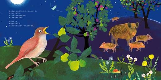 夜幕之下：艾曼纽·乌赛生命三部曲之（二） 商品图2