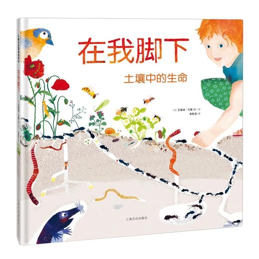 艾曼纽·乌赛生命·三部曲：《在我脚下》《在我之前》《夜幕之下》 商品图1