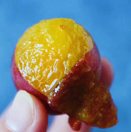 西梅🛫 🛫 〰琥珀色的果肉多汁果肉细腻😍 😍 特别甜的果子，宝宝一天可以来几颗[呲牙]放软蜜甜剥皮做辅食最佳选择！ 商品图8