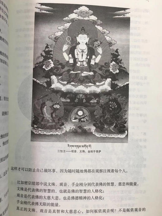 《爱心中爆发的智慧》作者多识仁波切从深见与广行这两大传承对藏传佛教做了系统的概括与梳理。 商品图4