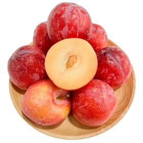 智利进口红李 2斤装 个头饱满  口感脆嫩  酸甜多汁