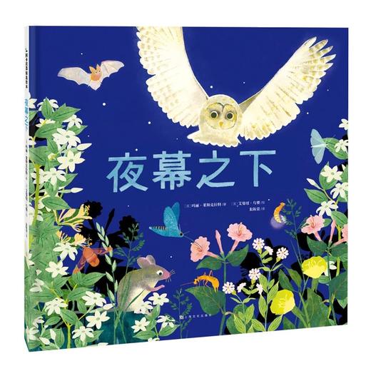 艾曼纽·乌赛生命·三部曲：《在我脚下》《在我之前》《夜幕之下》 商品图3