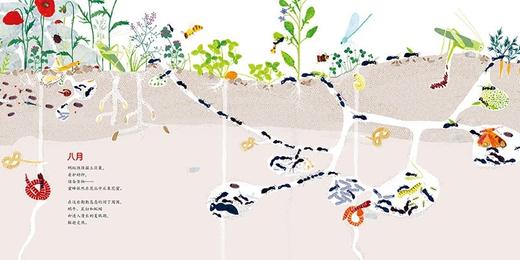 在我脚下：艾曼纽·乌赛生命三部曲之（二）[3岁+] 商品图3