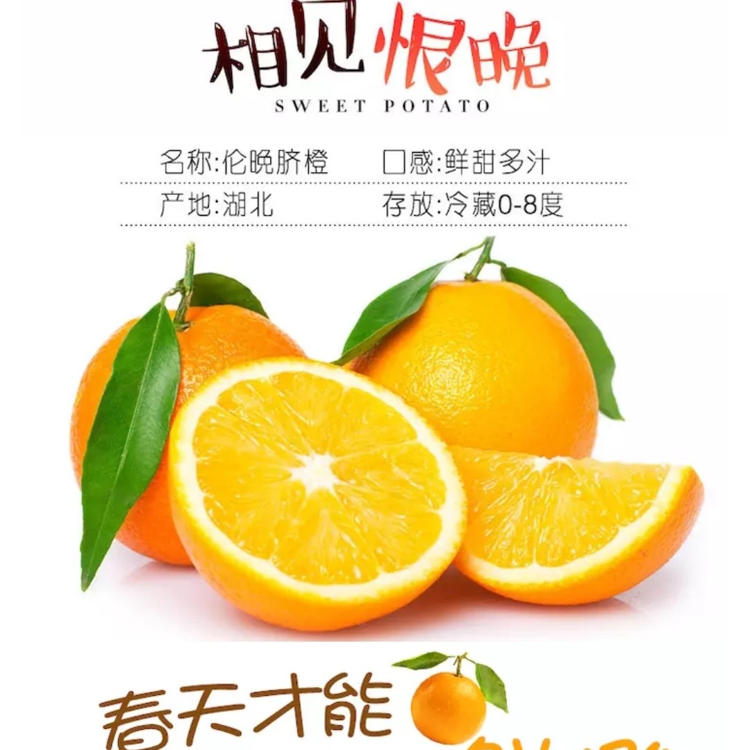 秭归伦晚脐橙,最好吃的橙子,甜度好,肉嫩汁水足,入口化渣,特别好吃,5