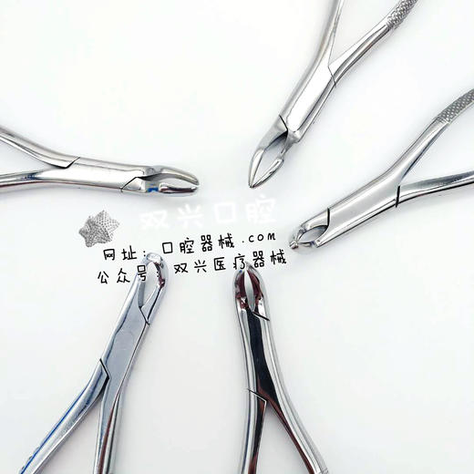 儿童拔牙钳4号--伟荣器械 商品图4