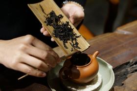 桂花九曲现泡茶