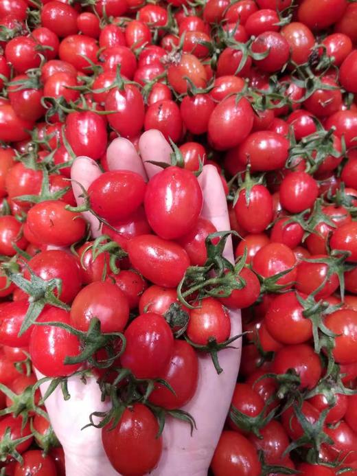 樱桃小柿子约500g