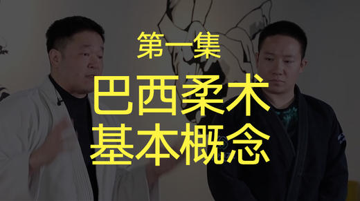 一、巴西柔术基本概念 商品图0