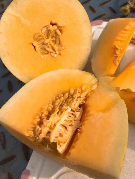 海南西域香妃蜜瓜脆甜多汁皮薄甜度高达188