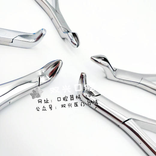 儿童拔牙钳4号--伟荣器械 商品图5