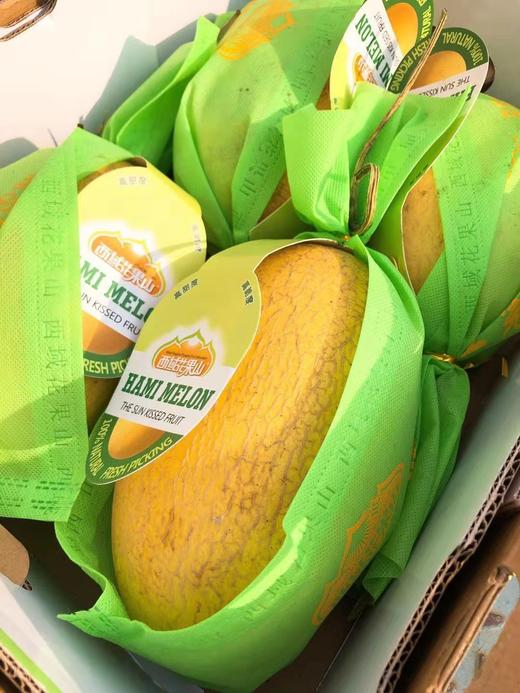 海南西域香妃蜜瓜脆甜多汁皮薄甜度高达188