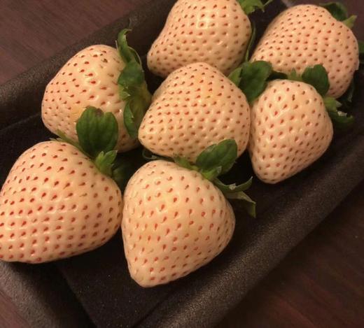 白草莓,堪称草莓届的爱马仕 商品图0