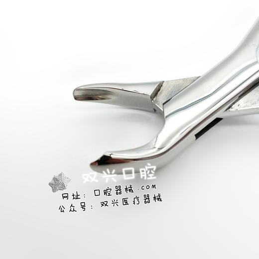拔牙钳成人18R--伟荣器械 商品图2