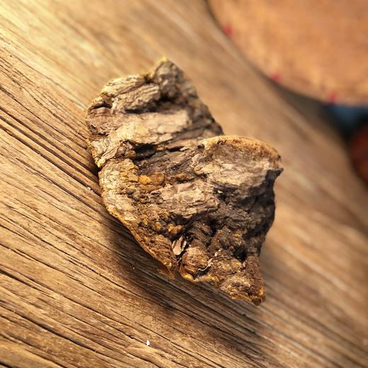 【西藏林芝 野生桑黄 】高海拔生长  整朵和切块 任选 商品图5