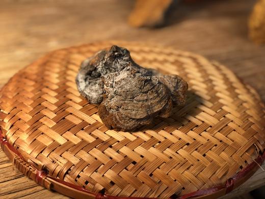 【西藏林芝 野生桑黄 】高海拔生长  整朵和切块 任选 商品图7