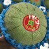 蜜宝王甜瓜🍈开箱香味扑鼻 好甜的瓜 小时候奶奶家种的就这个 商品缩略图1