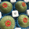 蜜宝王甜瓜🍈开箱香味扑鼻 好甜的瓜 小时候奶奶家种的就这个 商品缩略图4