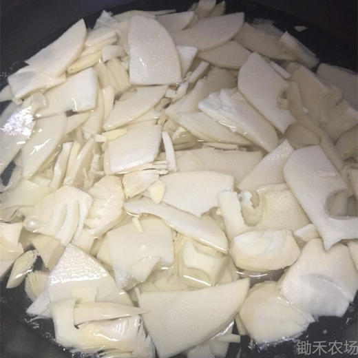 【精选】毛笋（多规格） 商品图2