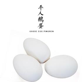 平人自产  鹅蛋 1 枚