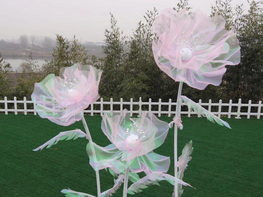 幻彩花【运费自理】 商品图1