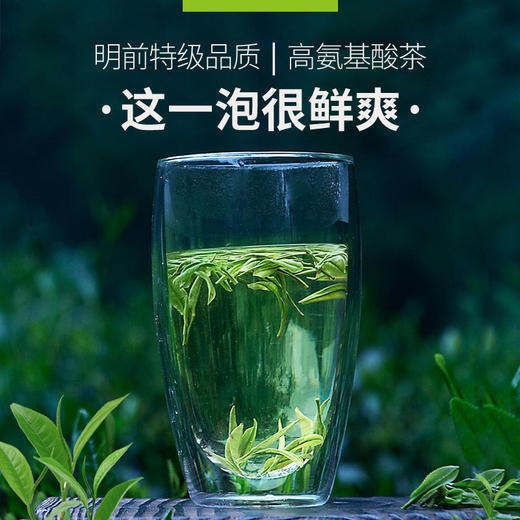 【新茶上市 优选】艺福堂  明前特级安吉原产 2024新茶 100g/罐 商品图3