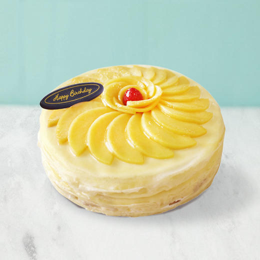 芒果千层 商品图1