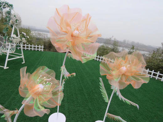 幻彩花【运费自理】 商品图2