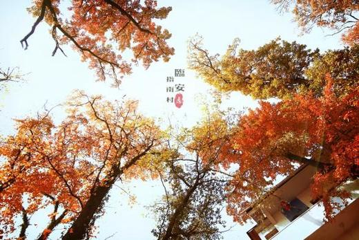 小吉不二档期预约项 商品图0