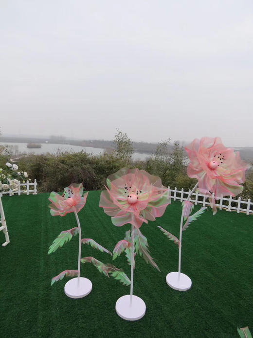 幻彩花【运费自理】 商品图3