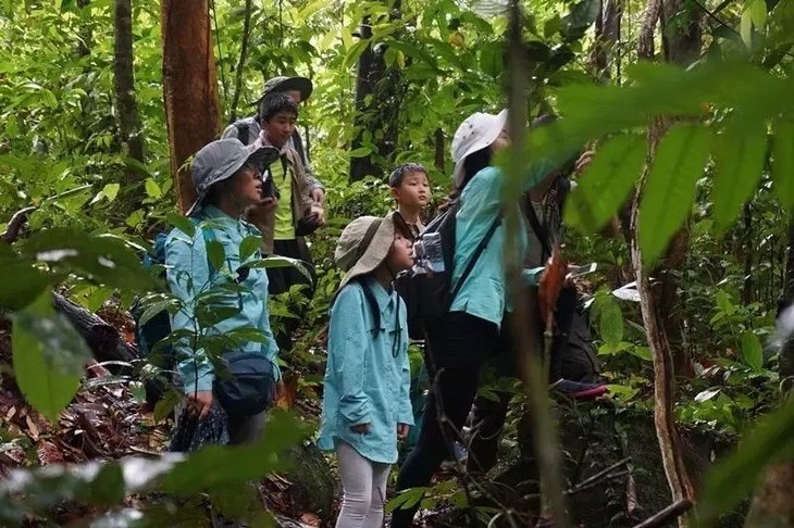 熱帶雨林探險之旅,熱帶雨林探險之旅作文_大山谷圖庫