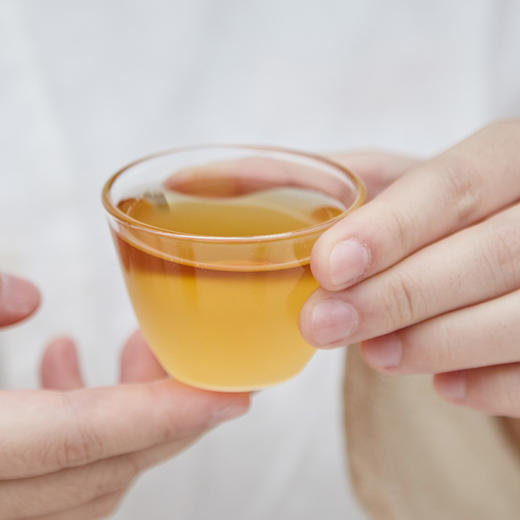 自家系列丨2015年 贡眉 仁和 250g/砖 商品图3