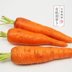 有机胡萝卜500g/箱 （有机蔬菜、中国有机认证）