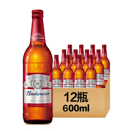 瓶装百威啤酒600ml*12瓶 商品图1