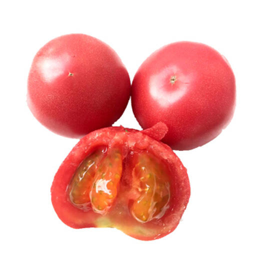 有机西红柿 5斤装（有机蔬菜、中国有机认证）2.5kg/ 商品图1