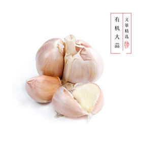 有机大蒜500g/箱（有机蔬菜、中国有机认证）