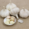 有机大蒜500g/箱（有机蔬菜、中国有机认证） 商品缩略图2