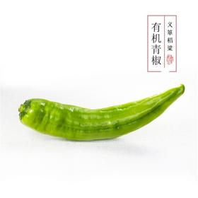 绿源禾心有机辣椒500g/袋（有机蔬菜、中国有机认证）