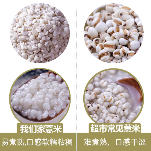 云南墨江生态薏米 半碎糯香薏仁米 半野生方式种植 商品图4