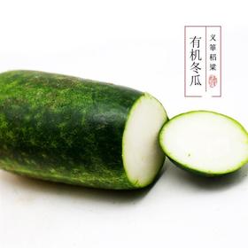 有机冬瓜1kg/箱 （有机蔬菜、中国有机认证）