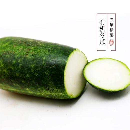 有机冬瓜1kg/箱 （有机蔬菜、中国有机认证） 商品图0