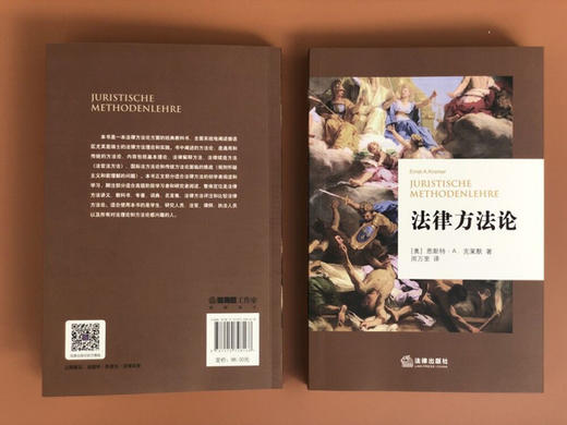国际视角的经典教科书|法律方法论   ［奥］恩斯特·A.克莱默 商品图2